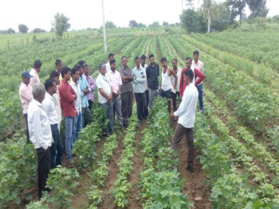 Organic Farming