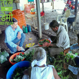 Sustainable Agriculture