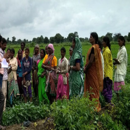 Women's Empowerment and Gender Equality